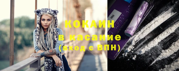 стафф Ладушкин