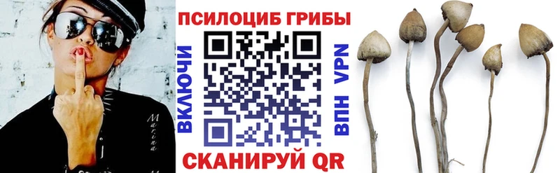 кракен Данков Галлюциногенные грибы MAGIC MUSHROOMS