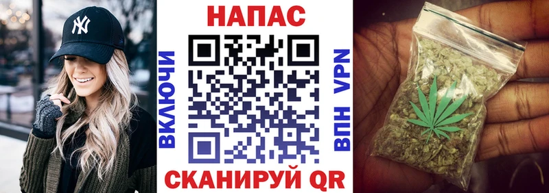 Шишки марихуана марихуана  Данков 